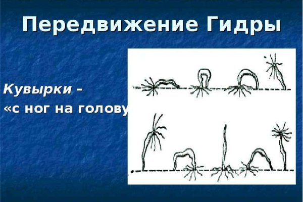 Кракен новый маркетплейс