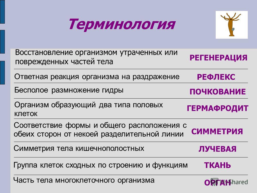 Ссылка на кракен тор браузер